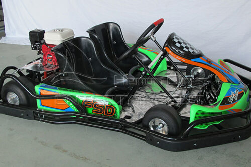 2 person go kart for sale in Dinis