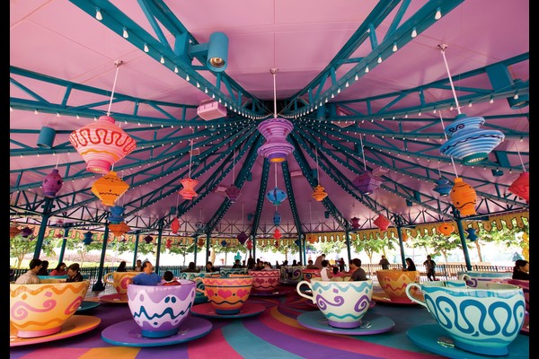 family teacup ride project