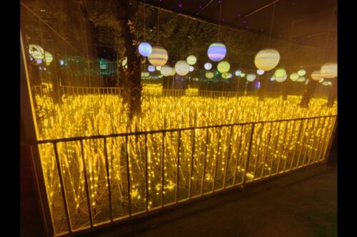 mirror maze attraction