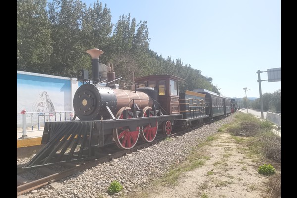 trackless-train-project-carriages train carriages in park